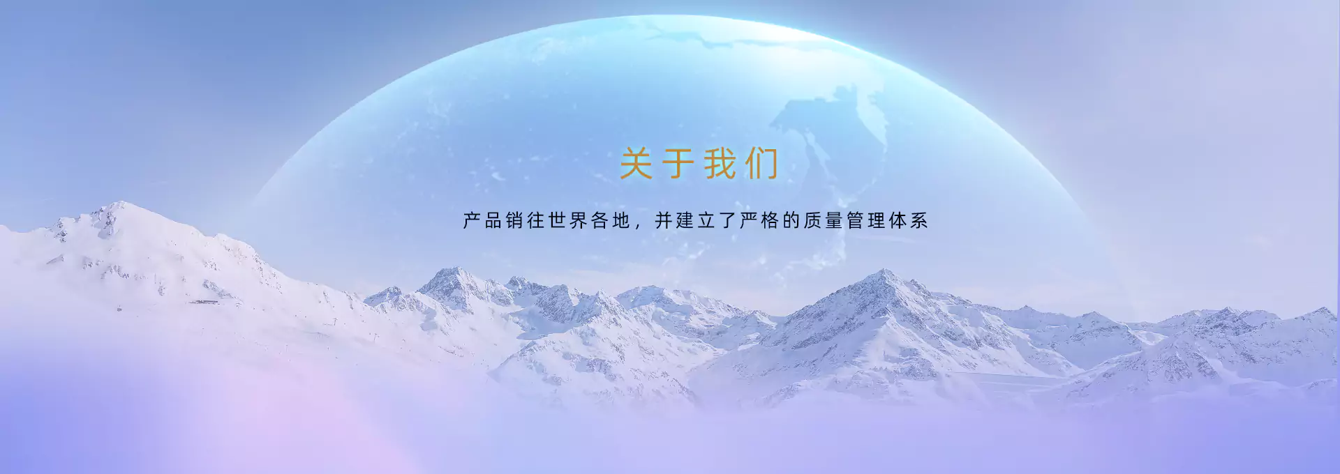公司简介
